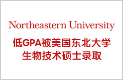 低GPA被美国东北大学生物技术硕士录取
